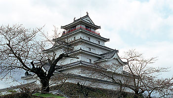 View of the Castle from the Wall